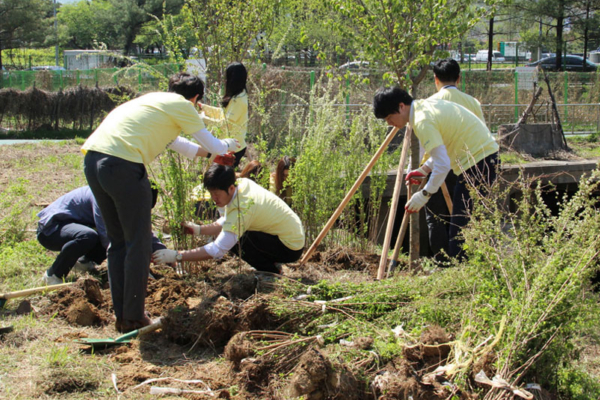 FORCS employees doing tree planting